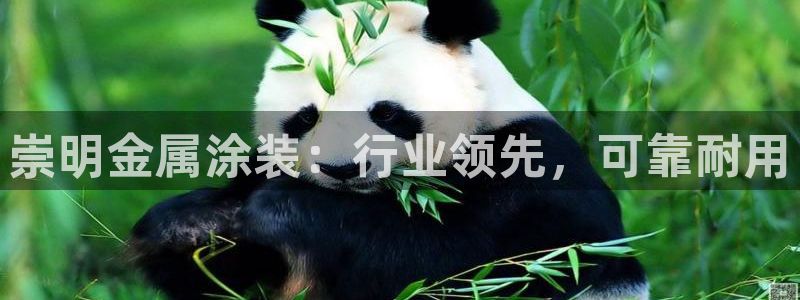 美高梅酒店位置