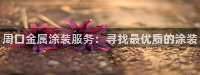 美高梅酒店拖鞋