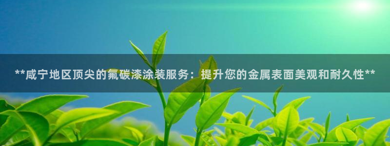 美高梅综合商业广场