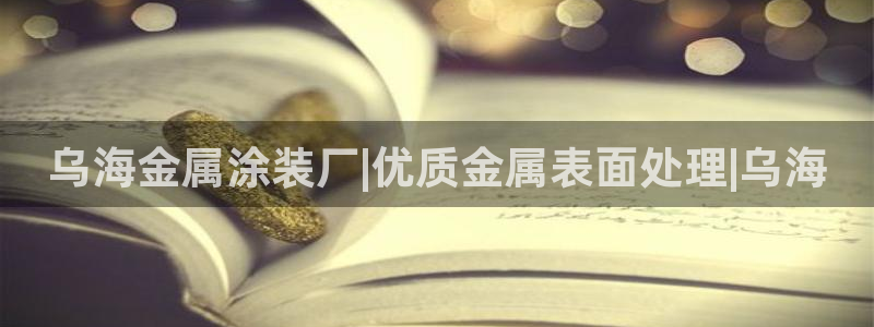 美高梅是谁的资产