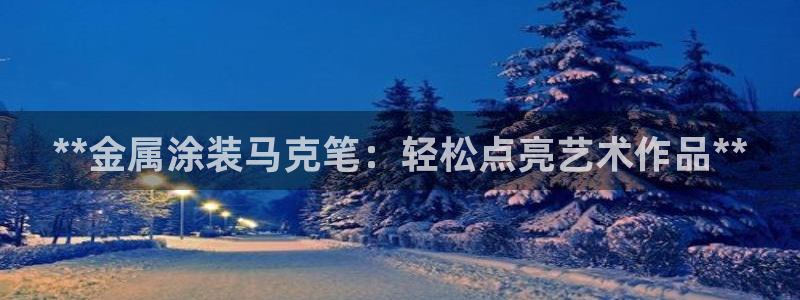 美高梅筹码图片高清