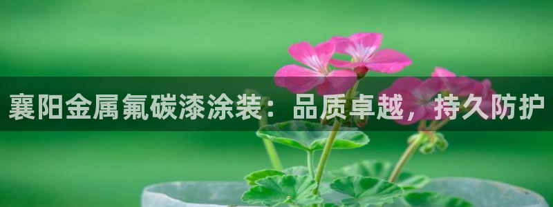 美高梅酒店里的饮料免费吗