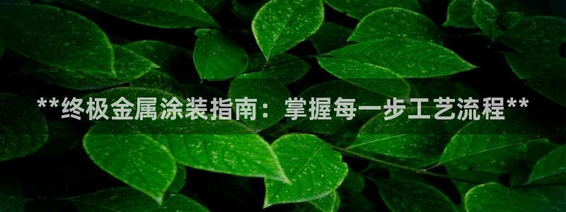 何超琼建美高梅酒店有什么意义