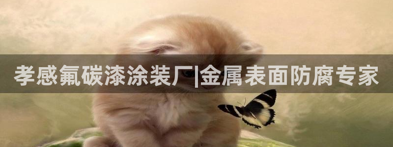 美高梅酒店有多少层高