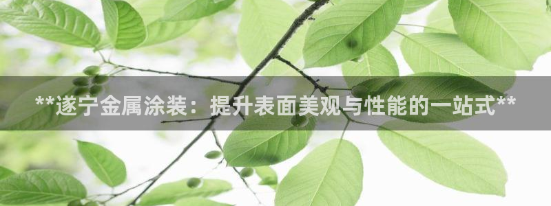 美高梅会员怎么绑定