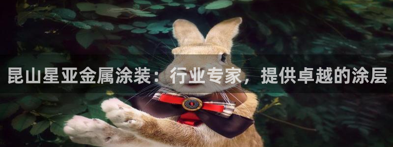 美高梅公司电子邮件地址