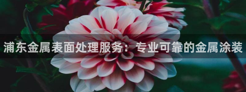 美高梅入职面试