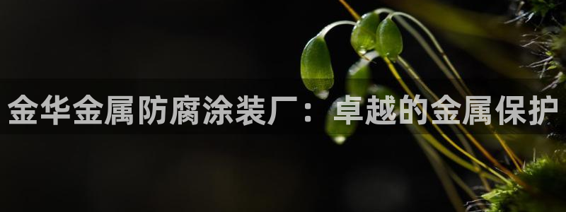 美高梅会员卡用途