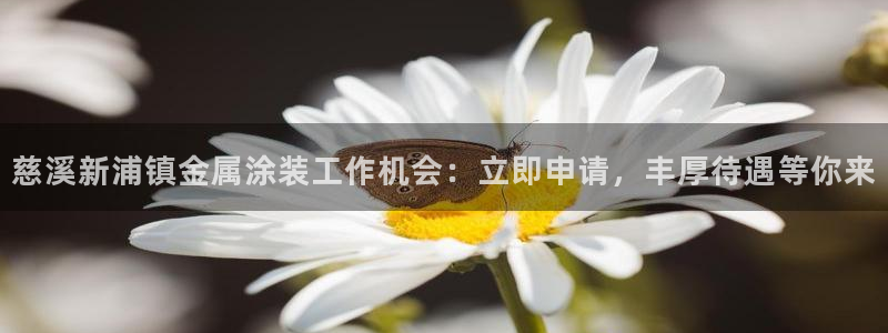 美高梅属于哪个集团
