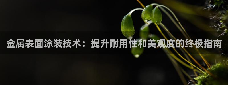 美高梅介绍