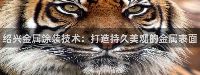 美高梅会员卡免费办吗