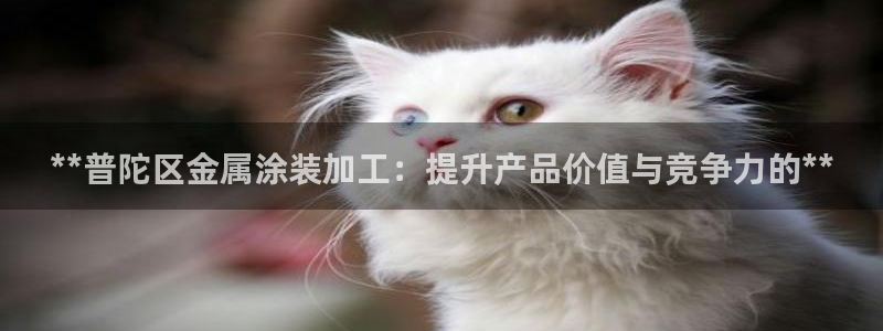 美高梅会员卡办理要提供港澳通行证吗