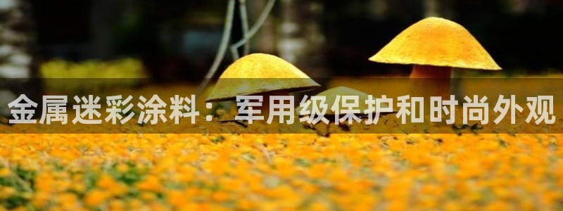 美高梅dfs关门时间