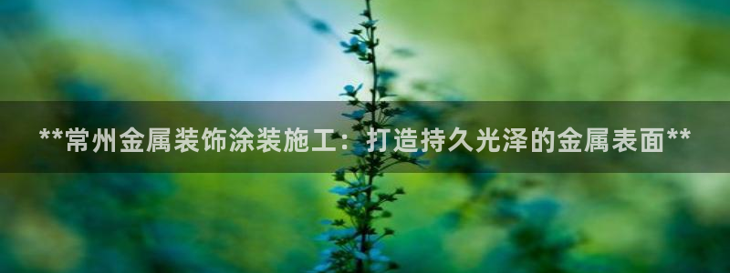 美高梅会员卡等级怎么看