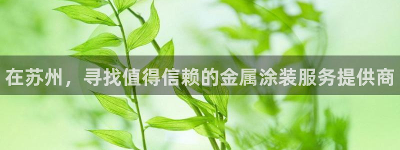 美高梅冯小峰简介