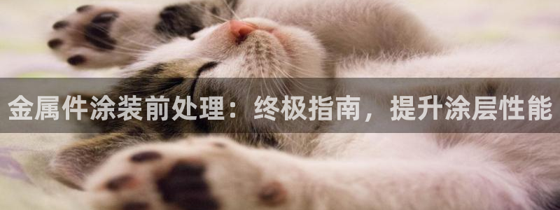 美狮美高梅发财车
