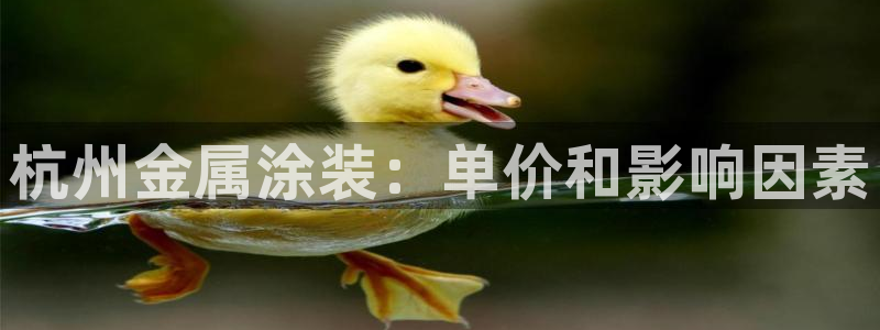 美高梅最大筹码