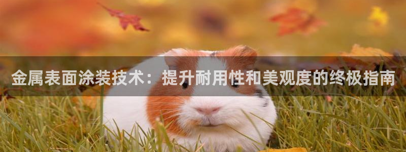 澳门mgm娱乐官网