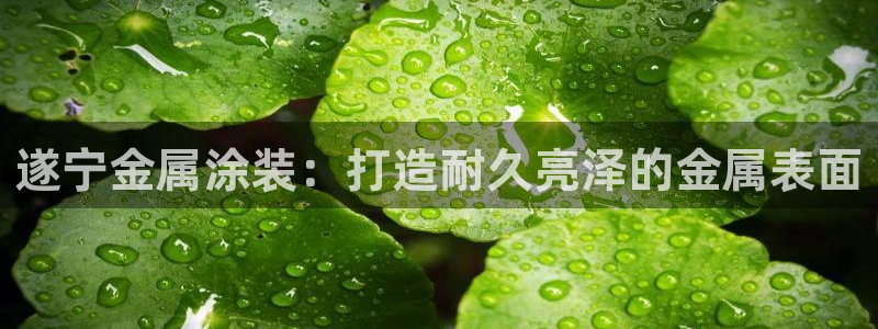 美高梅度假酒店攻略