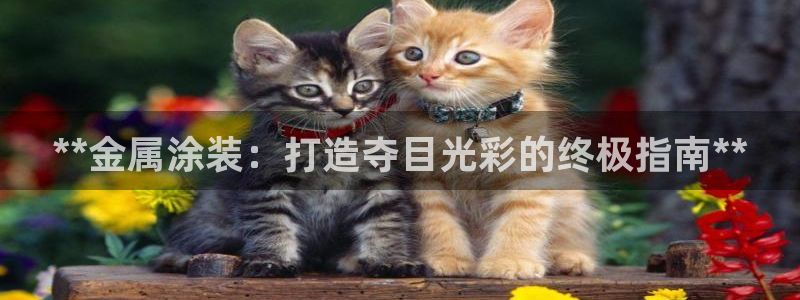 美狮美高梅酒店介绍