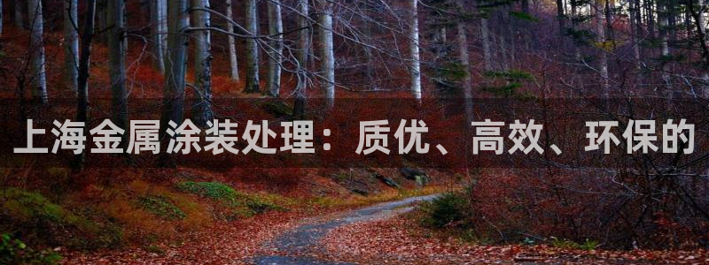 美高梅别墅丰台