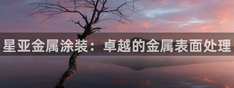 美高梅网络平台游戏靠谱吗