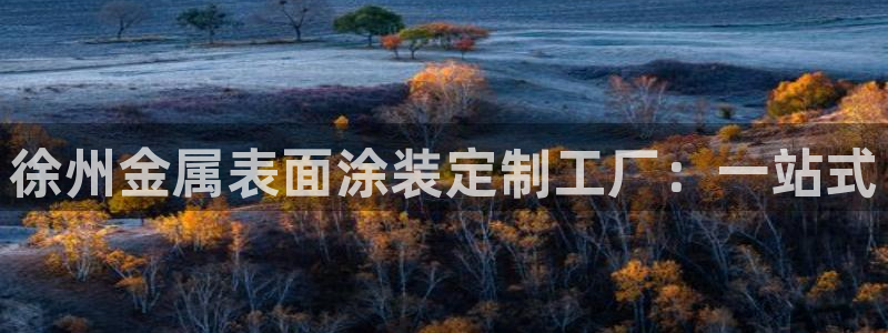 美高梅怎么打不开了