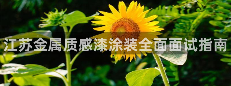 美高梅大酒店上海