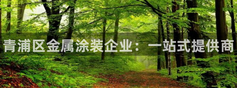 美高梅中国集团简介