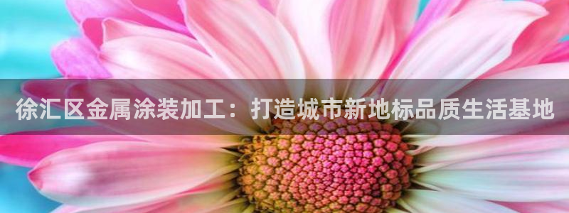 美高梅股票中国净资产多少