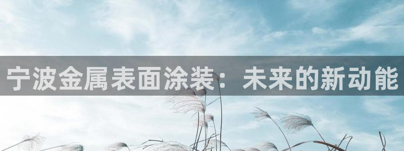 美高梅酒店是谁的