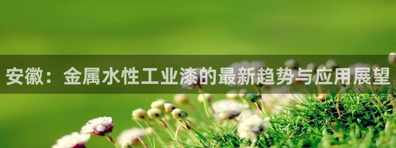 美高梅狮王卡是什么