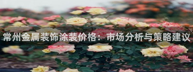 鲁能钓鱼台美高梅公馆户型图
