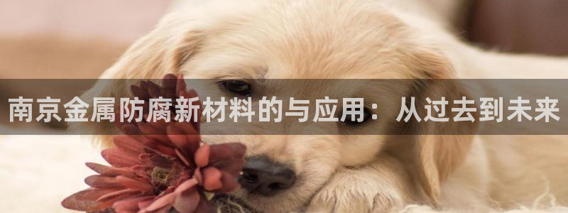 美狮美高梅酒店高度