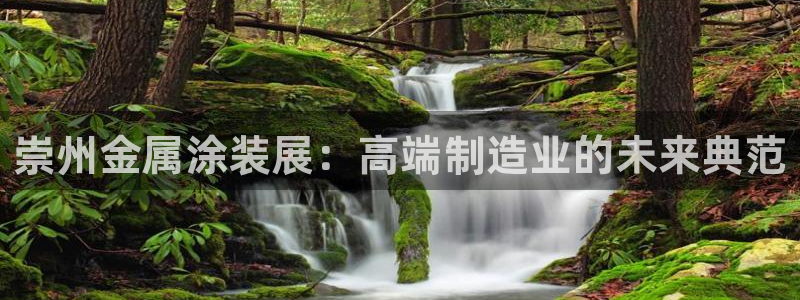 美高梅会员卡怎么获得