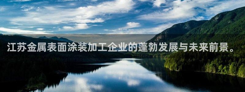 美高梅控股有限公司怎么样