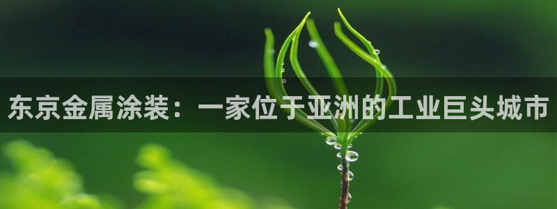 美高梅酒店哪些城市有：东京金属涂装：一家