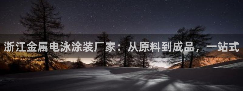 美高梅公司是做什么的