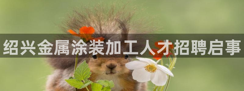 美高梅提现成功却没有到账