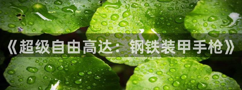 美高梅酒店何超琼