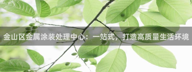 美高梅酒店可以带走的东西