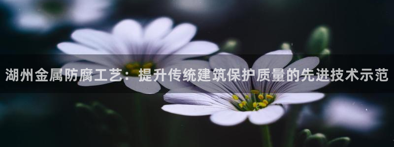 美高梅房价金殿澳门房价