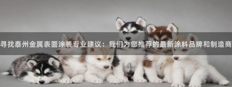 美高梅酒店香港：寻找泰州金属表面涂装专业