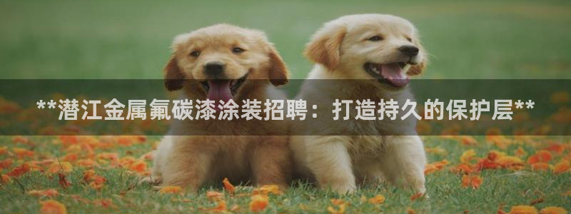 美高梅是做什么的澳门何超琼