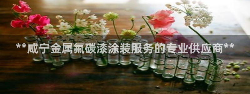 美高梅是哪个集团