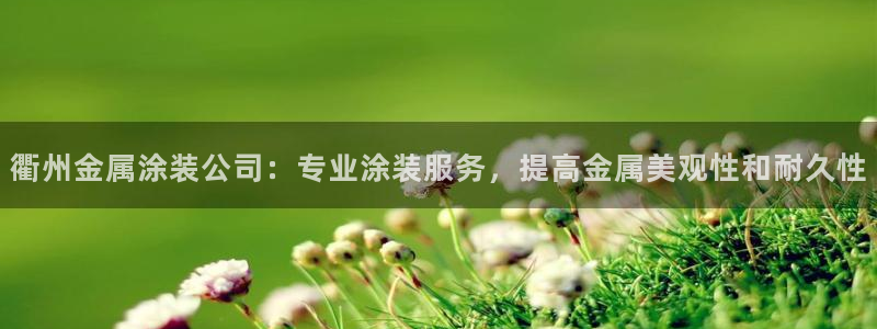 美高梅空气炸锅怎么样好用吗