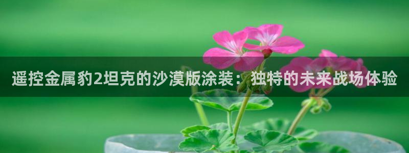 美狮美高梅酒店介绍